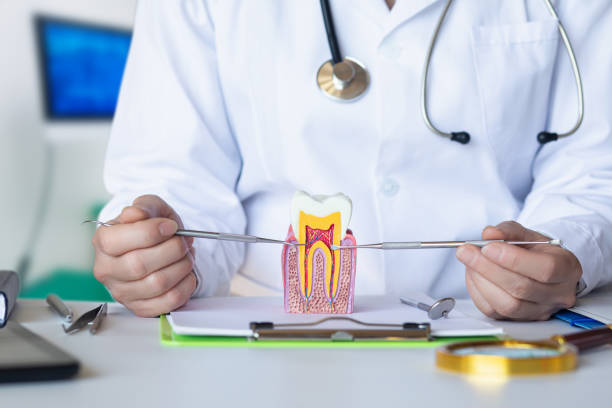 Best Mobile Emergency Dentist in Winston, OR